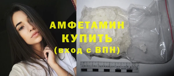 МДПВ Инсар