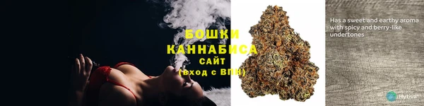 дживик Инта