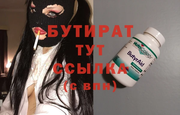 дживик Инта