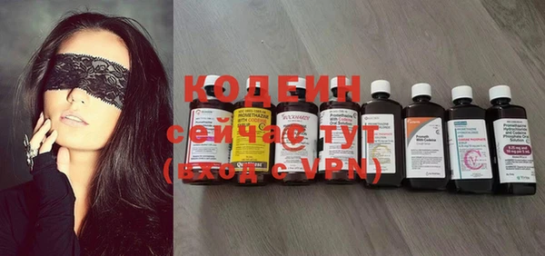 МДПВ Инсар