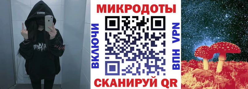 Галлюциногенные грибы Psilocybe  Катав-Ивановск 