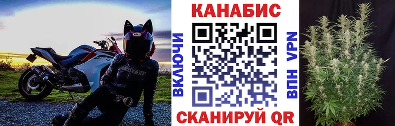 наркотики  Катав-Ивановск  Шишки марихуана Ganja 